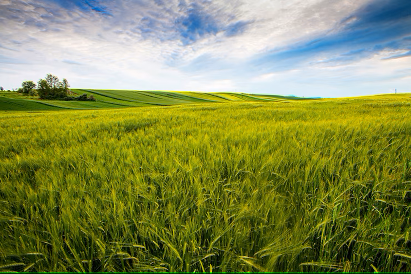 agriculture land for sale near me