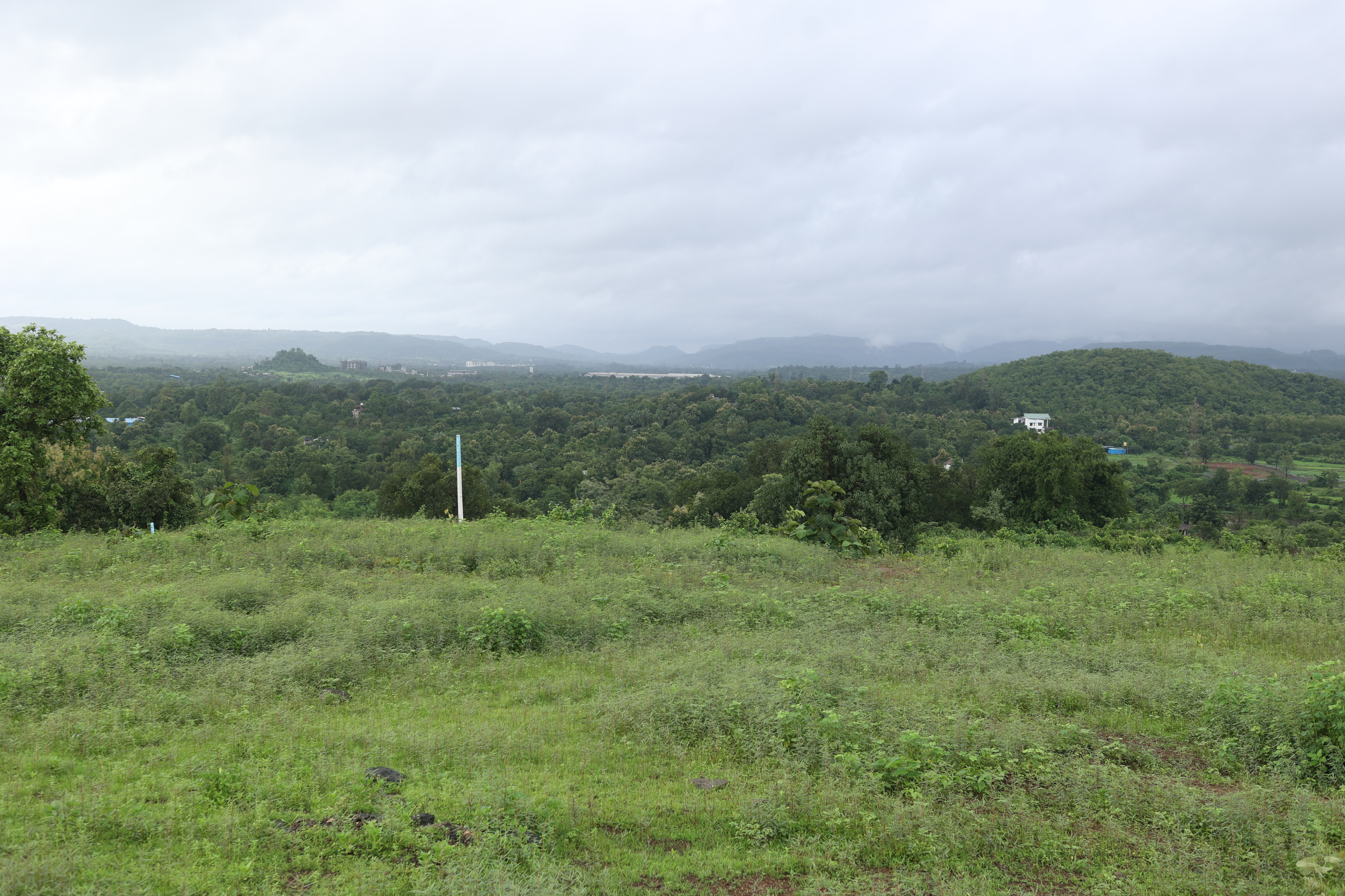 Agriculture land for sale